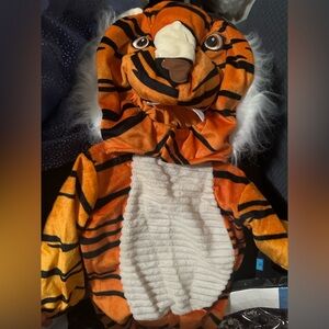 Tiger Costume for Kids - Orange and Black